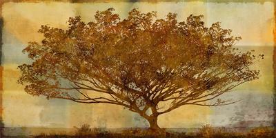 Autumn Radiance Sepia - Giclee Print, 24x12 Autumn Radiance Sepia - Giclee Print, 24x12