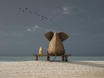 Elephant and Dog Sit on a Beach - Wall Art Print, 16x12