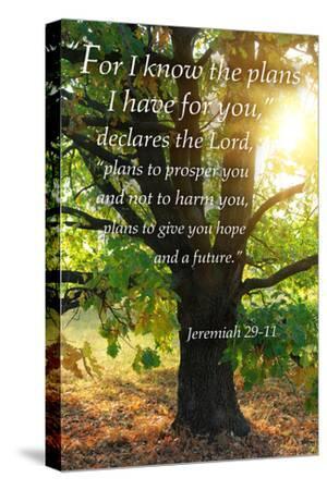 Jeremiah 29:11 - Inspirational - Canvas Print Wall Art, 12x18 Jeremiah 29:11 - Inspirational - Canvas Print Wall Art, 12x18