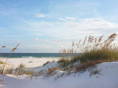 Sand Dunes and Ocean at Sunset, Pensacola, Florida. - Photographic Print, 16x12