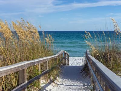 Sandy Boardwalk Path to a Snow White Beach on the Gulf of Mexico with Ripe Sea Oats in the Dunes - Photographic Print, 16x12